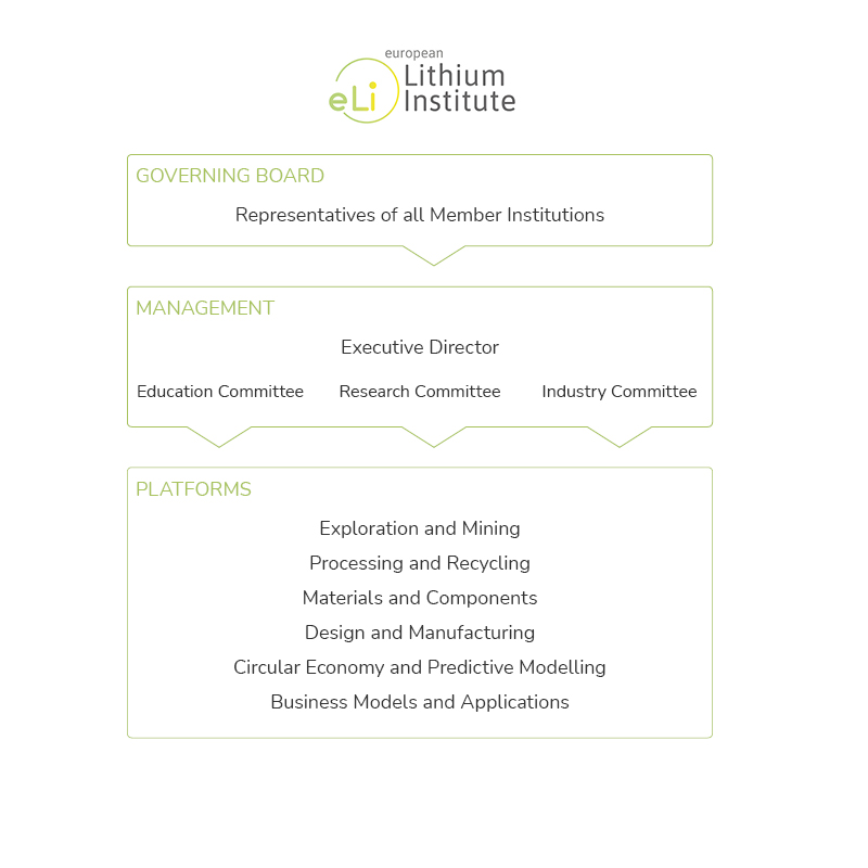 Governing Structure European Lithium Institute